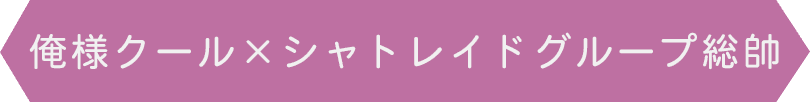 俺様クール×シャトレイドグループ総帥